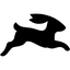 Directus